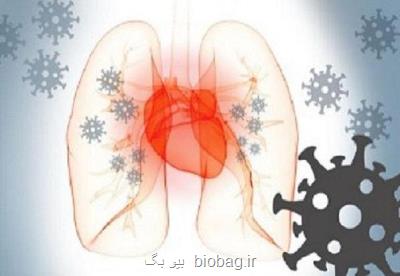 كووید 19 احتمال نارسایی قلبی را زیاد می كند