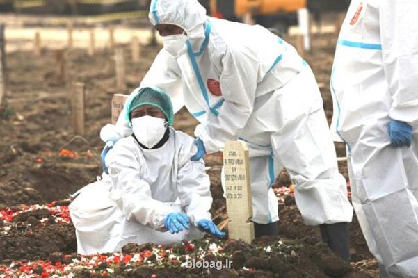 فوت بیش از 4 و هشت دهم میلیون مبتلا به کووید-19 در جهان