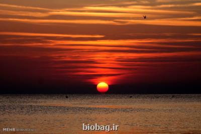 قرار گرفتن در معرض نور قرمز صبحگاهی کاهش بینایی را بهبود می بخشد