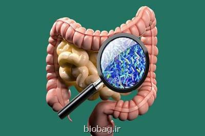 ارتباط میکروبیوم های روده با ریسک سندرم کووید طولانی مدت