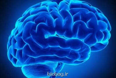 تغییرات مغزی در میانسالی بعد از سال ها فشار خون بالا ظاهر می شود