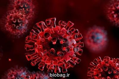 سویه جدید اومیکرون چقدر خطرناکست