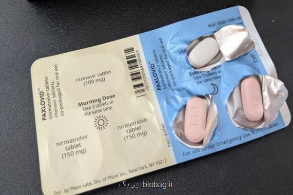 اقدام آلمان برای تقویت تجویز داروی ضد ویروسی کرونا