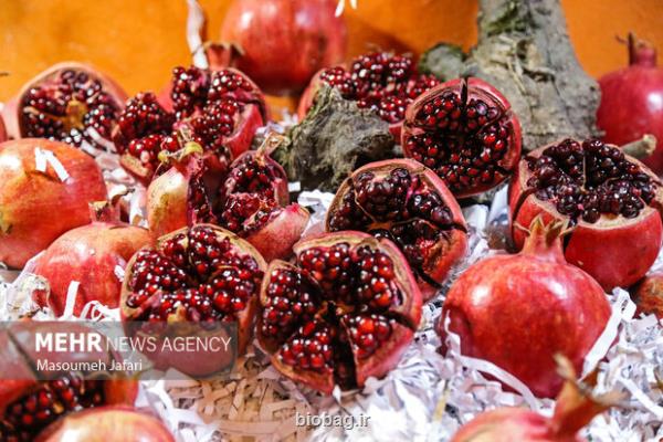 خوردن انار پخته معجزه می کند