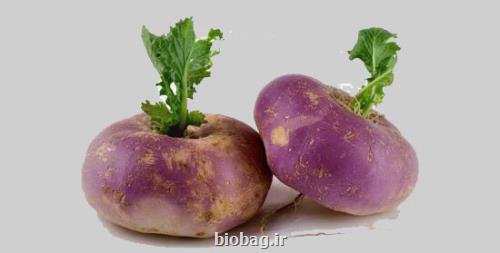 شلغم بهترین خوراکی ضدسرطان زمستانی