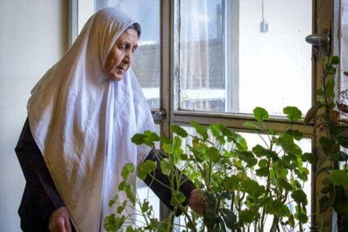 زمان یائسگی بر ریسک مبتلا شدن به آلزایمر در زنان تأثیر می گذارد