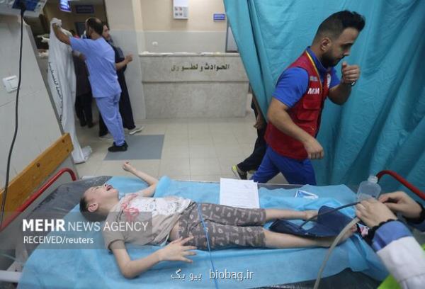گفت و گوی عین اللهی با مقامات خارجی پیرامون فجایع انسانی در غزه