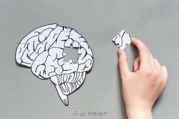 پیری بیولوژیکی خطر مبتلا شدن به زوال عقل را زیاد می کند