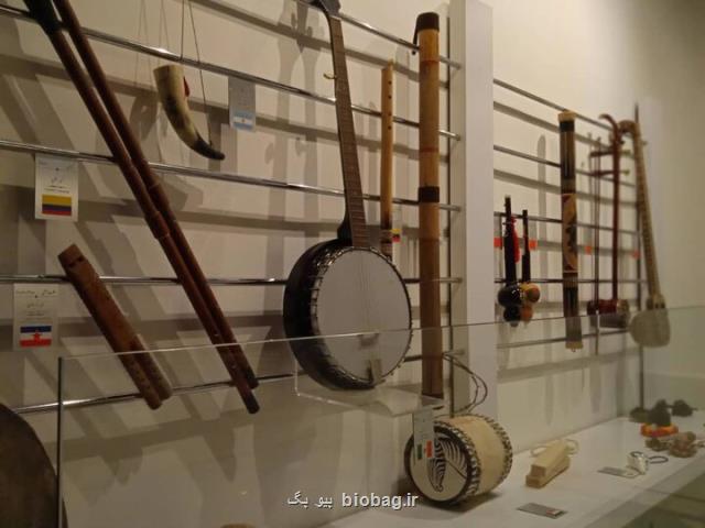 راه حل جذاب حفظ هوشیاری مغز در پیری