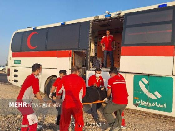 انحراف از جاده اتوبوس حامل زائرین ایرانی ۴۳ نفر مصدوم شدند