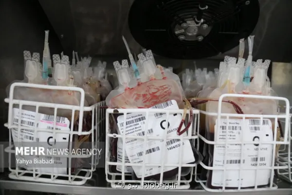 اهدای خون در ماه رمضان نباید به شب های قدر محدود شود