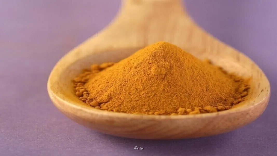 یک ماده طبیعی که از صدمه کلیوی ناشی از سموم پلاستیکی محافظت می کند