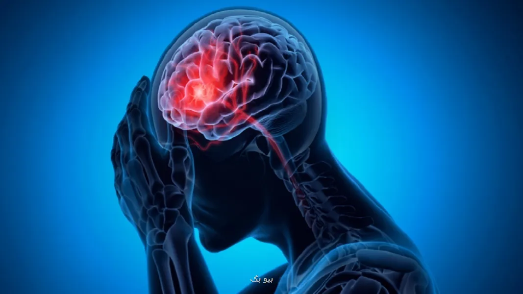 مصرف ماهی و میوه سدی در مقابل مبتلاشدن به سکته مغزی به همراه فیلم
