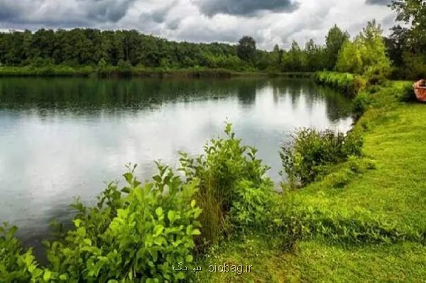 مدل سازی روابط اکوژئومورفیک در حوضه های رودخانه ای تالش