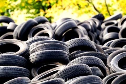 محل دپوی لاستیك های وارداتی و توزیع گل بامبو اولویت مراقبت حشره شناسی