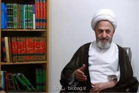 آیت الله سبحانی: كارهای وزیر بهداشت سابق دنبال شود