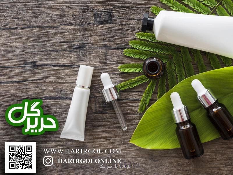 چند ترفند آسان برای زیبا شدن منزلتان با گیاهان آپارتمانی