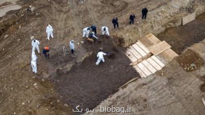 دفن قربانیان كرونا در گورهای دسته جمعی در آمریكا